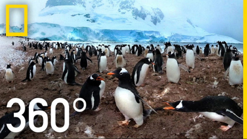 360° Antarctica - Unexpected Snow | National Geographic