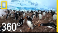 360° Antarctica - Unexpected Snow | National Geographic