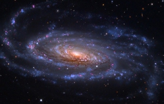 NGC 5033